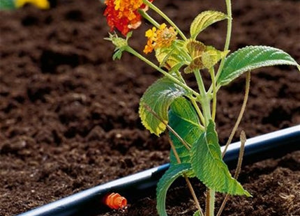 GARDENA 01340 GOCCIOLATORE DI FINE LINEA LT/H 2 CLASSIC*