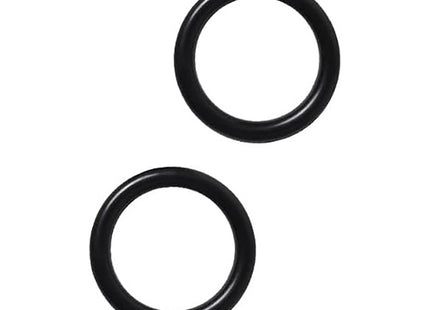 BETA  1756C-2OR COPPIA DI O-RING PER SIRINGHE 1756C