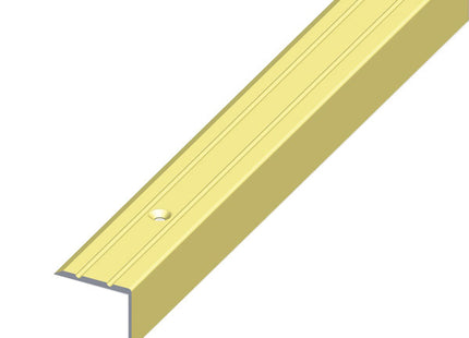 ALFER PROFILO PER SCALE ALLUMINIO ANODIZZATO OTTONE MM25X20 MT1