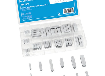 FERVI ASSORTIMENTO DI CHIAVETTE PARALLELE TOTALE PZ60