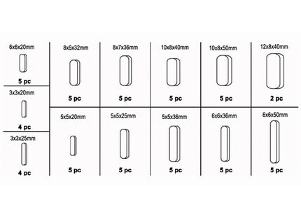 FERVI ASSORTIMENTO DI CHIAVETTE PARALLELE TOTALE PZ60