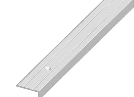 ALFER PROFILO DI CHIUSURA ALLUMINIO ARGENTO CON FORI MM25X10 MT2