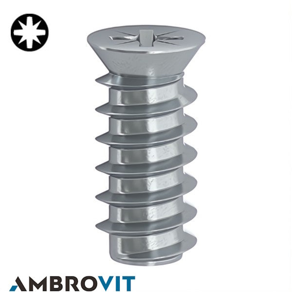 AMBROVIT VITE EURO A TESTA SVASATA PIANA PZ2 ZINCATA BIANCA D.MM6,3X11