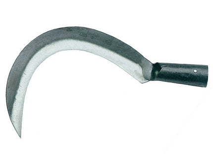 BR RINALDI RONCOLA CON CANOLA TIPO SCANSANO MISURA 2 CM29