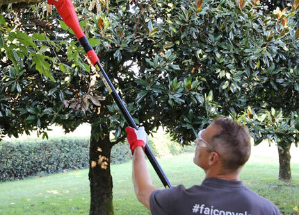 VALEX POTATORE TELESCOPICO ELETTRICO ET301 750W