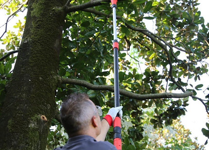 VALEX POTATORE TELESCOPICO ELETTRICO ET301 750W