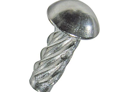 RIVETTI AUTOFILETTANTI TESTA TONDA Z.BIANCO UNI 7346 D.MM 2,9X 8