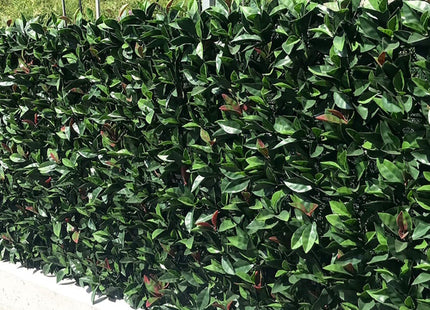 TENAX SIEPE ARTIFICIALE ORNAMENTALE DIVY 3D PLUS PHOTINIA MT1X3