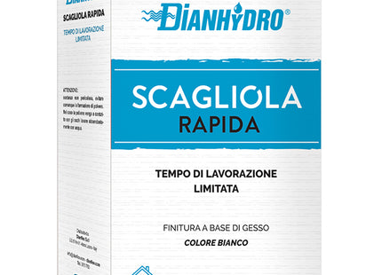 DIANFLEX GESSO SCAGLIOLA IN POLVERE SCATOLA DA KG 1