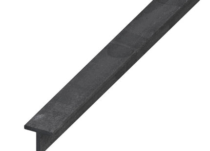 ALFER PROFILO A T ACCIAIO LAMINATO MM20X20X3 MT1