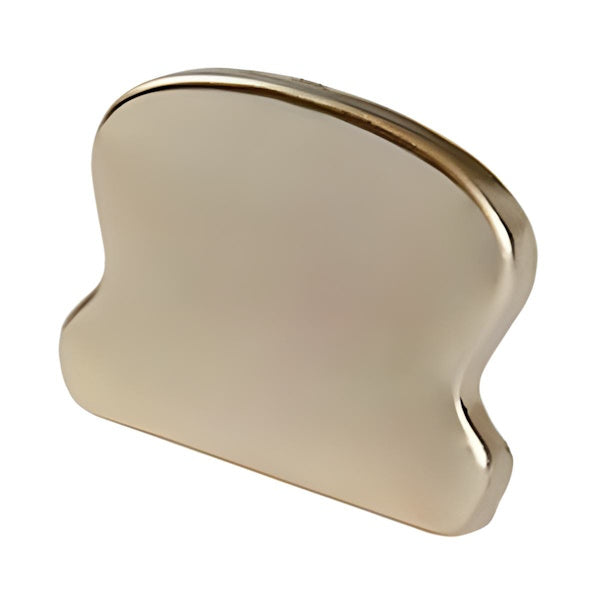 PIRCHER TERMINALE PER CORRIMANO FINITURA OTTONE MM55X35X7 PZ2*