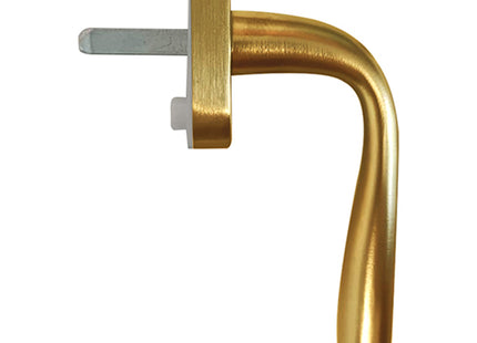 COTTALI KAROL CREMONESE  IN ZAMA