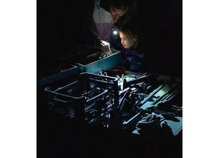 LED LENSER TORCIA LED A BATTERIA MOD. P 6 CORE