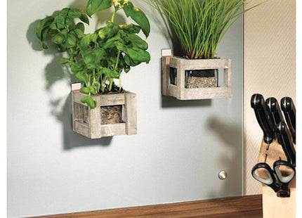 TESA STRISCE BIADESIVE REMOVIBILI POWERSTRIPS CONF.PZ10 BIANCO*