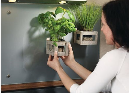 TESA STRISCE BIADESIVE REMOVIBILI POWERSTRIPS CONF.PZ10 BIANCO*