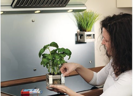 TESA STRISCE BIADESIVE REMOVIBILI POWERSTRIPS CONF.PZ10 BIANCO*