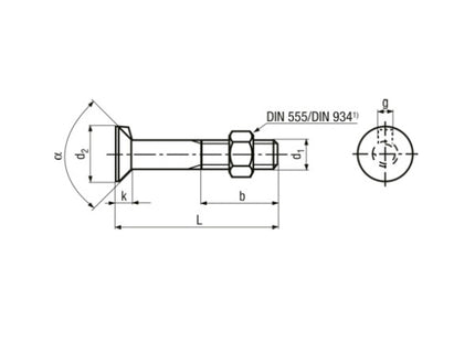BULLONE TSP CON NASELLO E DADO UNI 6105 GREZZO