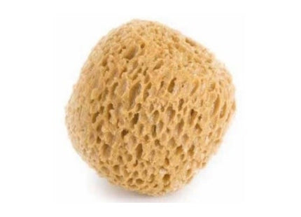 GAMMA PENNELLI SPUGNA SINTETICA A FORMA TONDA ART.629