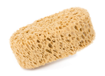 GAMMA PENNELLI SPUGNA SINTETICA A FORMA OVALE ART.631