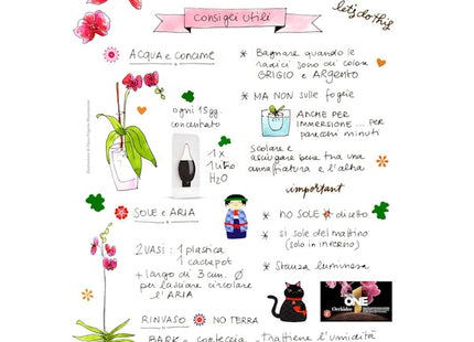 NUTRI ONE ORCHIDEE CONCIME LIQUIDO CONCENTRATO 20X2ML