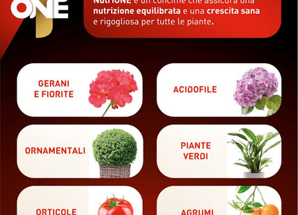 NUTRI ONE NUTRIGOCCIA CONCIME LIQUIDO UNIVERSALE 6X32ML