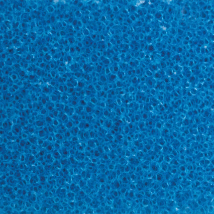 RUPES TAMPONE IN SPUGNA COARSE BLU D.MM155/160 CONF.DA PZ1