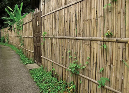 VERDELOOK ARELLA BEACH CANNICCIO IN BAMBOO