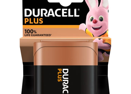 DURACELL BATTERIE PLUS100 MN1203 PIATTA BLISTER