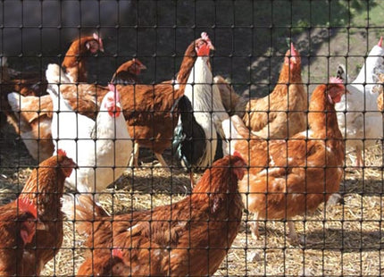 TENAX RETE CINTOFLEX M IN PLASTICA DA RECINZIONE CONF.MT1X10