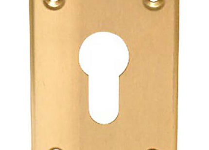 CISA BORCHIA IN OTTONE PER CILINDRI A PROFILO EUROPEO