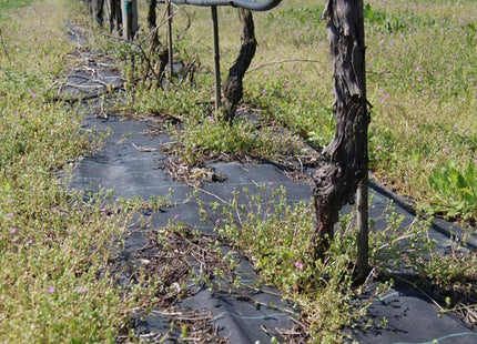 TENAX TELO ANTIERBACCE COVER PRO VERDE CONF.DA MT1,6X5