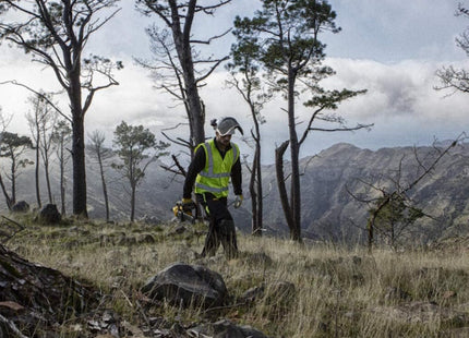 DEWALT MOTOSEGA A BATTERIA DCM565P1-QW 18V 5,0AH*