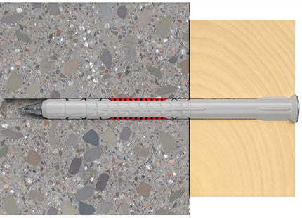 FISCHER TASSELLO DUOXPAND T IN NYLON PROLUNGATO CON VITE TSP TORX