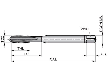 DORMER MASCHIO MACCHINA E237 HSS-E PM PER FORI PASSANTI/CIECHI M 3X0,5
