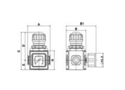 ANI ART. E/25/2 3/8"F REGOLATORE DI PRESSIONE MODULARE