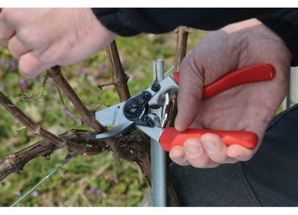 FELCO FORBICE PER POTATURA MOD. F  7 DA MM210 + BERRETTO