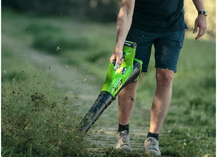 GREENWORKS SOFFIATORE ASSIALE G40AB 40V SENZA CARICABATTERIA E BATTERIA*