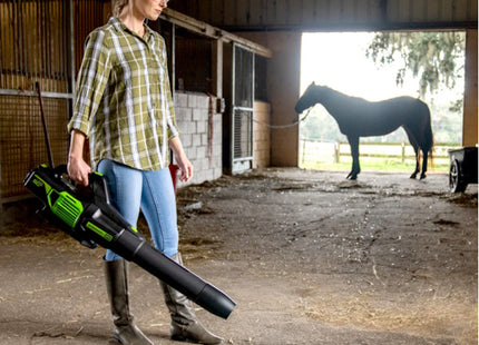 GREENWORKS SOFFIATORE ASSIALE GD60AB 60V SENZA CARICABATTERIA E BATTERIA