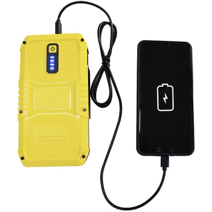 INTEC AVVIATORE PORTATILE COMPATTO I-STARTER 2.4 12V