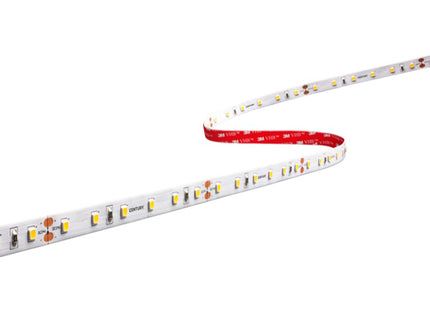 CENTURY STRISCIA LED DA MT5 3000K 24V MOD. ACCENTO PRO*