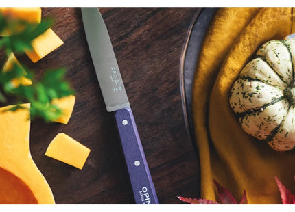 OPINEL COLTELLO CUCINA SPELUCCHINO POP MANICO COLORATO LAMA INOX CM10