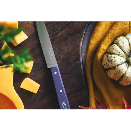 OPINEL COLTELLO CUCINA SPELUCCHINO POP MANICO COLORATO LAMA INOX CM10