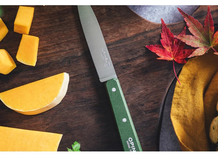 OPINEL COLTELLO CUCINA SPELUCCHINO POP MANICO COLORATO LAMA INOX CM10