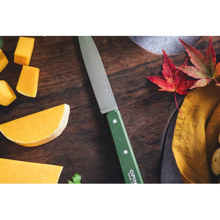 OPINEL COLTELLO CUCINA SPELUCCHINO POP MANICO COLORATO LAMA INOX CM10