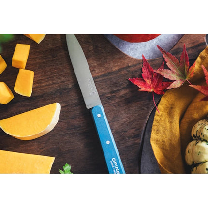 OPINEL COLTELLO CUCINA SPELUCCHINO POP MANICO COLORATO LAMA INOX CM10