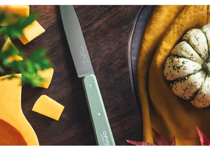 OPINEL COLTELLO CUCINA SPELUCCHINO POP MANICO COLORATO LAMA INOX CM10