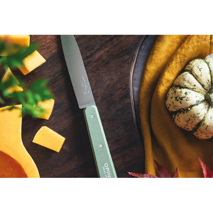 OPINEL COLTELLO CUCINA SPELUCCHINO POP MANICO COLORATO LAMA INOX CM10