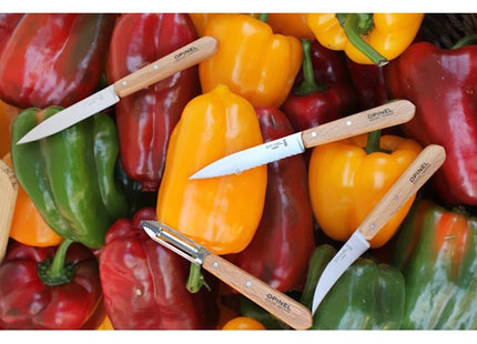 OPINEL SET DA 4 COLTELLI CUCINA LES ESSENTIELS DU CUISINIER