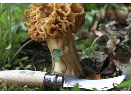 OPINEL COLTELLO PER FUNGHI CON MANICO IN FAGGIO LAMA INOX DA CM 8