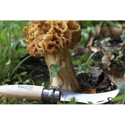 OPINEL COLTELLO PER FUNGHI CON MANICO IN FAGGIO LAMA INOX DA CM 8